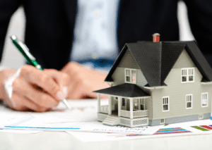 real estate and development