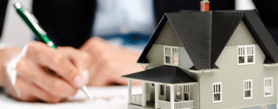real estate and development